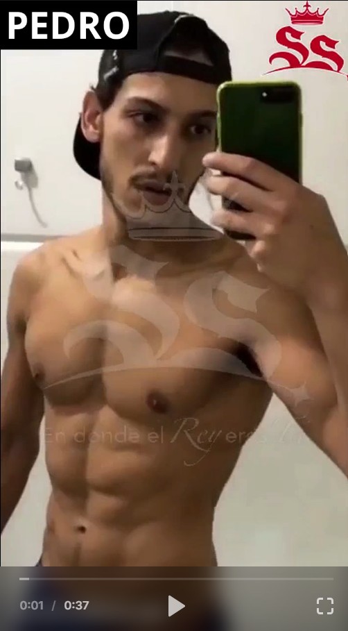 Pedro 2