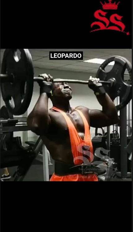 Leopardo 1